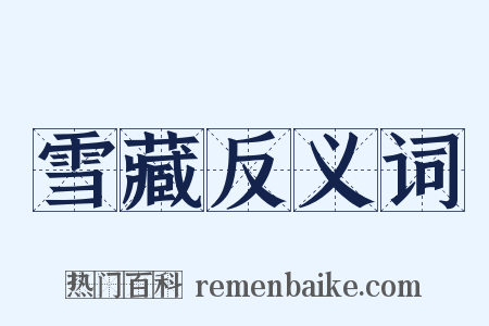 雪藏反义词是什么意思的图片